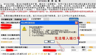 新网域名解析内网端口设置指南